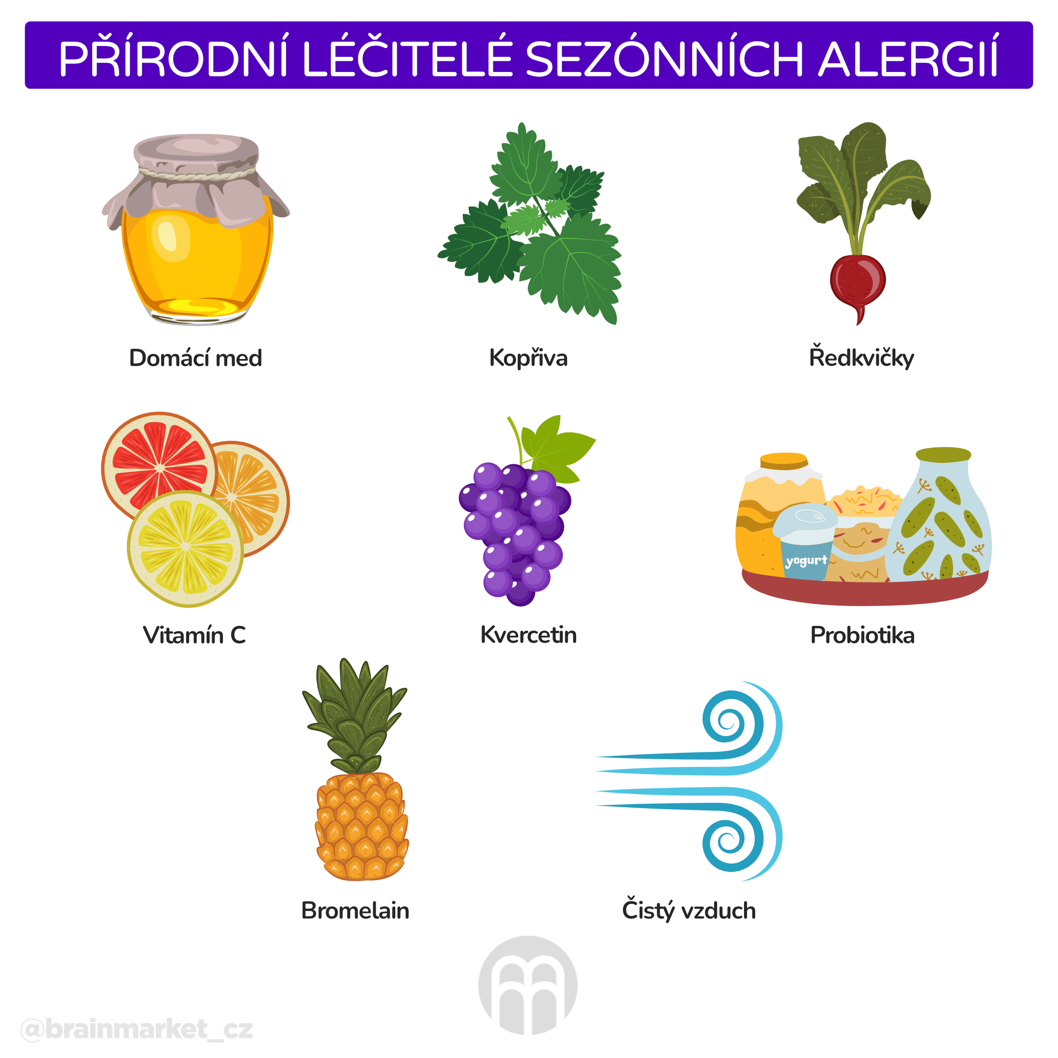 Přírodní léčitelé sezónních alergií_infografika_cz